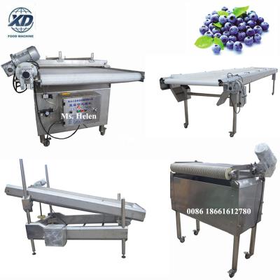 China food & Beverage plant 1-1.5 ton/h blueberry sorter, blueberry machine, blueberry packing line for sale