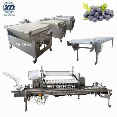 China food & Beverage plant 1-1.5 ton/h blueberry sorter, blueberry packing line, blueberry machine for sale