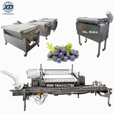 China food & Beverage Plant Big Capacity Blueberry Sorting Machine, Blueberry Packing Machine, Blueberry Packing Line for sale