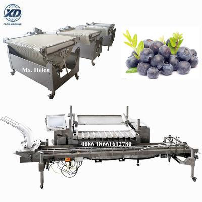 China food & Beverage Plant Large Capacity Blueberry Sorting Weighing And Packing Line , Blueberry Sorting Machine Processing Machinery for sale