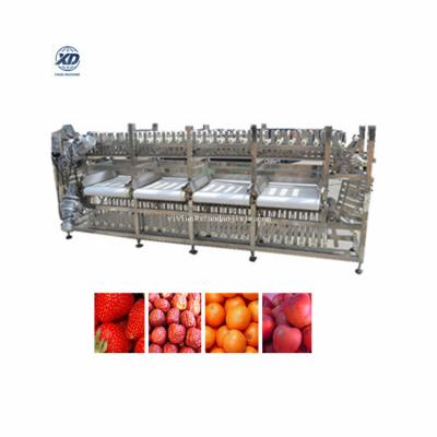 China Automatic snack factory potato sorter, blueberry sorter, fruit sorter machine for sale