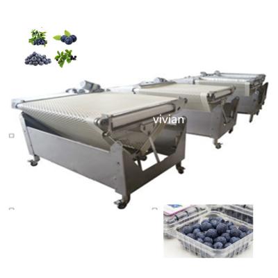 China Hotels factory price blueberry sort, blueberry grading machine, blueberry sorter for sale