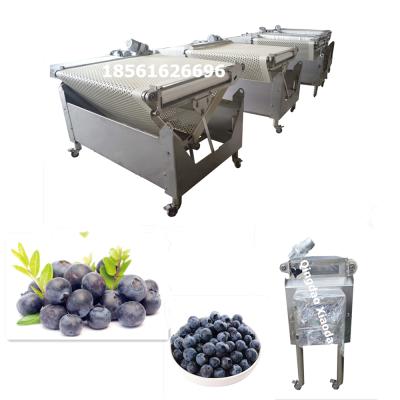 China Snack factory automatic blueberry sorter, blueberry harvester for blueberry sorter machine, cherry grader for sale