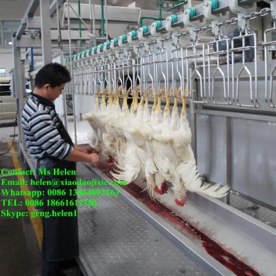 China POULTRY halal meat 300-500 chickens/h slaughterhouse, poultry slaughting line, chicken processing machinery for sale