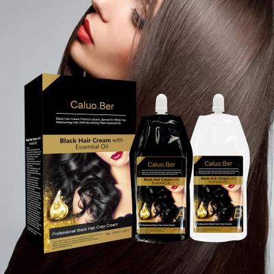 China Best Hair Color Factory Hair Dye Permanent Black Color Shampoo Fast Professional Hair Dye Brown Shampoo For Creamy Gray Hair for sale