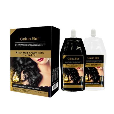 China Professional salon hottest permanent hair dye color hair home use color permanent black cream with plant essential oil for sale