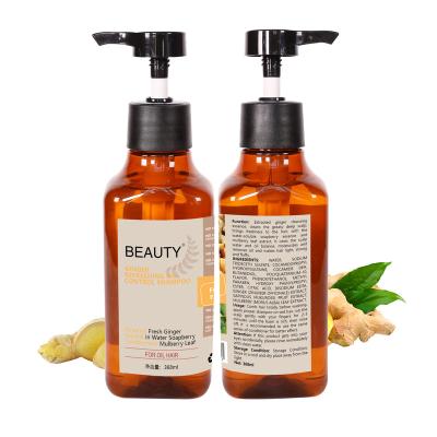 China Hot Pure Natural Color-Protecting Hair Care Products 100% Hair Shampoo Anti-hair Loss Ginger Shampoo And Conditioner for sale