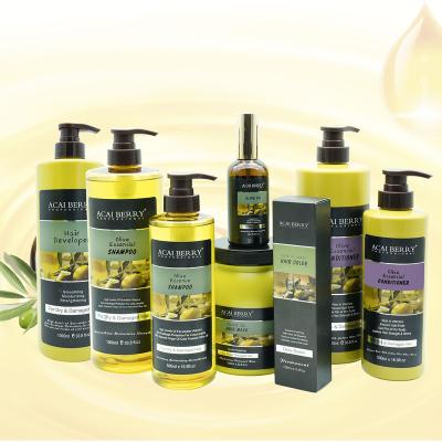 China Private Label Hotel Natural Organic Hair Care Loss Prevention Moisturizing Anti Dandruff Hair Shampoo and Conditioner Olive Oil Shampoo Set for sale