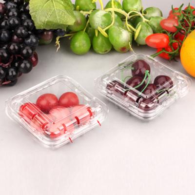 China Biodegradable Disposable Blister Small Clear Plastic Fruit Packaging Box For Blueberry for sale