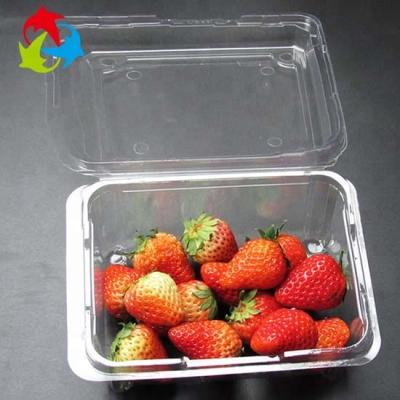 China High Quality Disposable Clamshell Plastic Disposable Well Vending Tray Blister Fruit Food Grade Container for sale