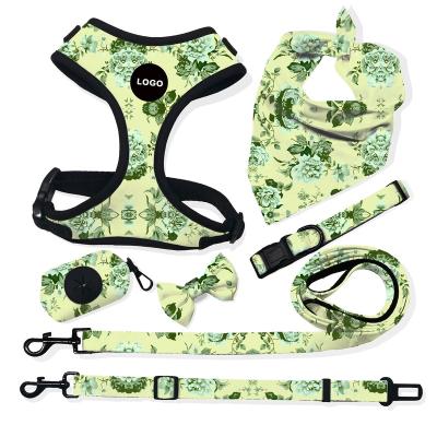 China Viable Multi-Color Pet Supplies Dog Harness Customizable Pet Collars and Leashes Pet Leash and Harness Set for sale