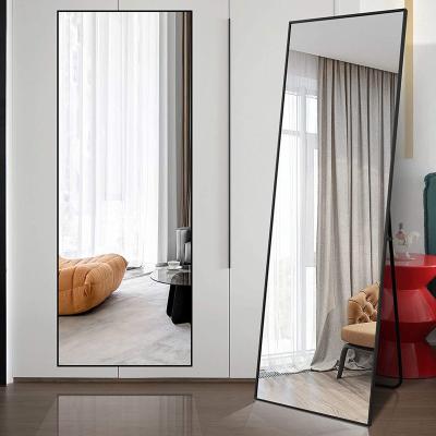 China Ruicheng Modern Contemporary Aluminum Alloy Furniture Wall Mounted Reactangular Freestanding Integral Dressing Mirror for sale