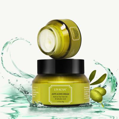 China Private Label Green Tea Anti Aging Whitening Tea Tree Oil Extract Spot Pimple Treatment Anti Acne Herbal Face Cream And Lotion for sale