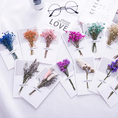 China China 10 Colors Gypsophila Dried Flowers Greeting Card Birthday Gift Voucher Wedding Invitations Celebration Handwritten Blessing Party for sale