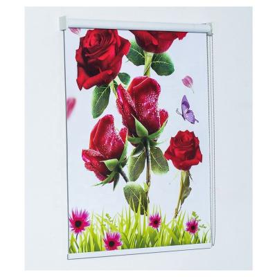 China Can Custom Make Any Picture You Like Customized Printing 3d Shower Roller Blinds Korean Heatproof Curtain 3d Manual Curtain Shades With Blackout Roller Shades roller electricity for sale