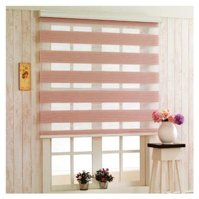 China Classic Double Roller Zebra Pleat Blind Curtains Roll Up One-Correct Blinds For Windows Zebra Shade Patio Door Shade Shower Curtain Bathroom for sale