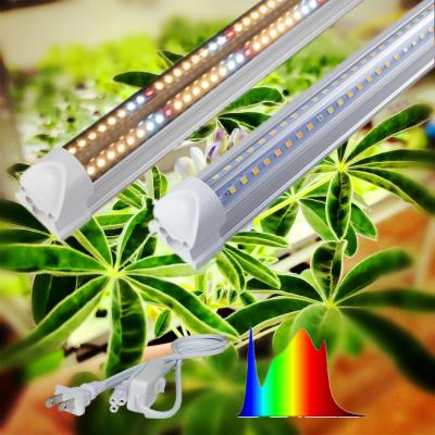 China High Bar T8 T8 7Magic Tube Light Grow Lights Full Spectrum Led Grow Light For Greenhouse for sale