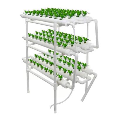 China Home Plants Growing Sytem Garden Greenhouse Hydroponics Growing System For Planting Lettuce Strawberry for sale