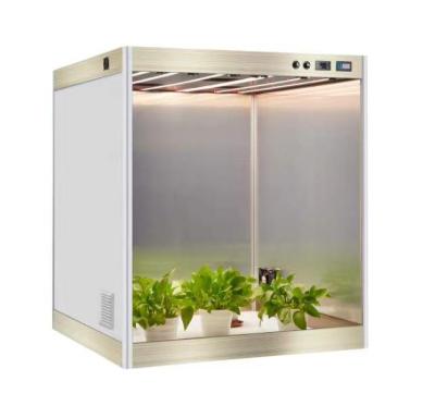 China Home Plants Growing Intelligent Full Spectrum 720W Hydroponic Indoor Indoor Metal High sytem Full PPFD Automatically Growing Cabinet for sale