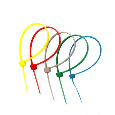 China Ties Cable China Casting Natural Nylon Cable Ties Manufacturers for sale