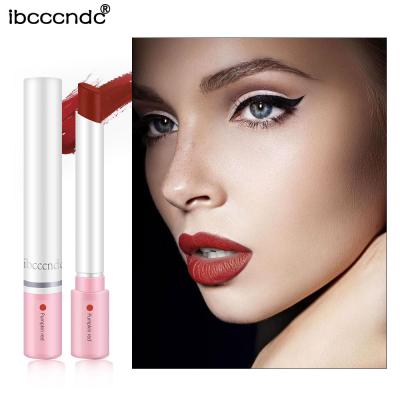 China Waterproof Makeup Lipstick Set Matte Long Lasting Waterproof Lip Stick 4 Colors for sale