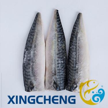 China FROZEN Land Headed Quick Frozen Pacific Mackerel Gutted Tailed (HGT) (Scomber japonicus) size: new processing 30-100g/pc for sale