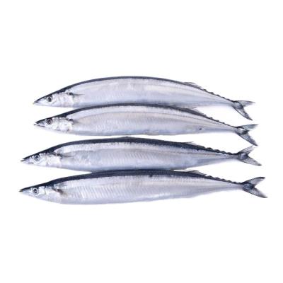 China Frozen Pacific Fish FROZEN WR/Seafood/Victory Fish for sale