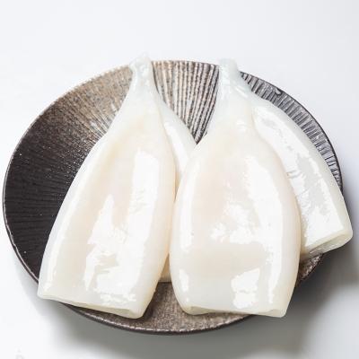 China Nutritious hot sale frozen squid u5 tube for sale