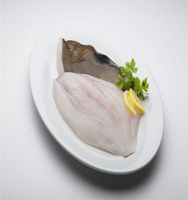 China John's Dory FROZEN Fresh Frozen Fish Fillet for sale