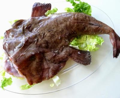 China New FROZEN Landing Directed Gutted Frozen Monkfish for sale