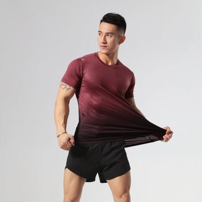 China Cotton Short Sleeve Men's Training Gym T-Shirt Simple High Elastic Casual Custom Made Quick Dry QUICK DRY for sale