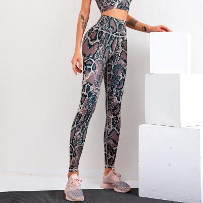 China QUICK DRY QUICK DRY Pants Cuffs Snakeskin Tights Yoga Print Compression Tops Workout Waisted Butt Yoga Crac! slot ! for sale