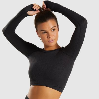 China Hot Selling Breathable Yoga Breathable Running Elastic Crop Gym Corset Tops T Shirt Tops For Women Custom Designs Knitted Crew Neck Shorts for sale