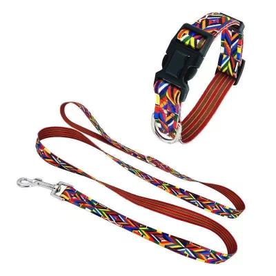 China DETACHED 2021The Most Popular Dog Collar &Leashes Dog Training Collar Designers Dog Collar for sale