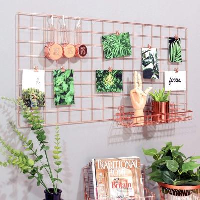 China Rose Gold Wall Grid Panel workable for photo hanging display and wall decoration organizer, multifunctional wall storage display grid for sale