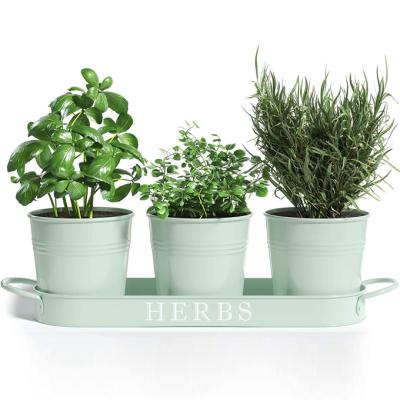 China Modern Metal Planter Flower Pot Set Of 3 With Tray For Indoor Garden Or Outdoor Use, Decorative Soft Mint Succulent Potted Planters for sale