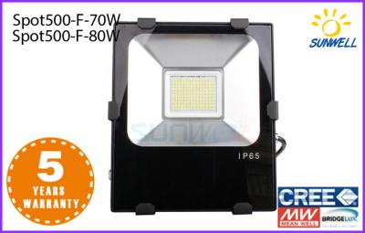 China Las luces de inundación llevadas al aire libre más brillantes de la aleación de aluminio 110lm/w, luz de inundación de la fotocélula en venta