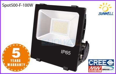 China 100 Watt Outdoor Led Flood Lights with Bridgelux Led And Meanwell 2700K - 6500K for sale