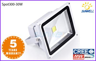 China High brightness 30watt Outdoor Led Flood Lights 2700lm with aluminum alloy for sale