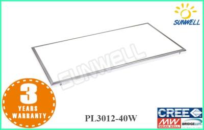 China Kitchen Meeting Room warm white led panel 1200 x 300 / led slim panel light for sale