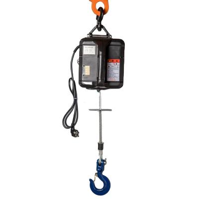 China Hotels Wholesale Mini Winch 220v Electric Crane Light Portable Electric Hanging Hoist For Cargo Handling for sale