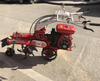 China Farm rotary tiller for sale