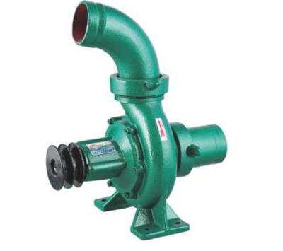 China ECO-FRIENDLY REGULAR AGRICULTURAL SCREW CENTRIFUGAL PUMP for sale