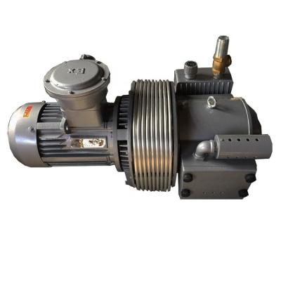 China Automatic Printing And Packing Air Compressor Screw Vacuum Pump for sale