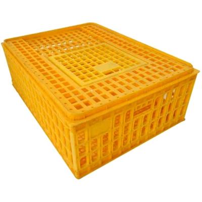 China Farms High Quality Chicken Duck Goose Pigeon Quail Transport Crates For Poultry Transport for sale