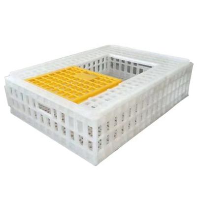 China Breeds best price plastic pigeon carrier crate quail carrier with high quality for sale