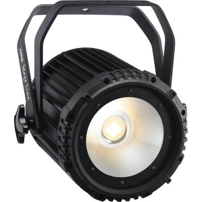 China La UL con mejores ventas de RoHs del CE enumeró el LED que encendía la luz clasificada al aire libre de la MAZORCA del PAR 150W 4IN1 RGBW LED de la MAZORCA IP67 en venta