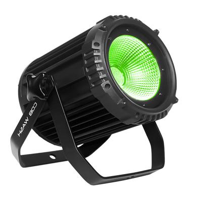 China High quality 200W LED COB PAR LIGHT OUTDOOR for sale