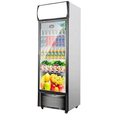 China Single-temperature best single door display commercial glass drink coolers upright beverage fridge for sale for sale