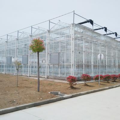 China Double-Layer Cavity Glass Cover Tomato Tunnel Glass Greenhouse for sale